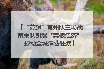 “苏超”常州队主场战南京队引爆“票根经济” 撬动全城消费狂欢